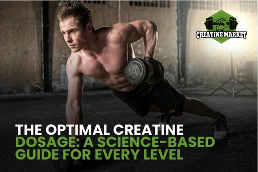 The Optimal Creatine Dosage: A Science-Based Guide for Every Level