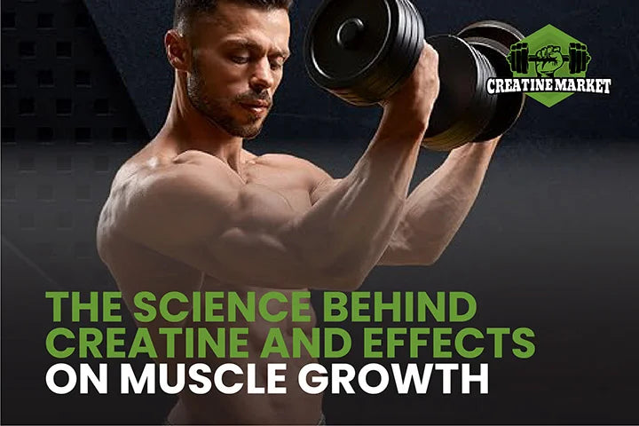 The Science Behind Creatine and Effects on Muscle Growth