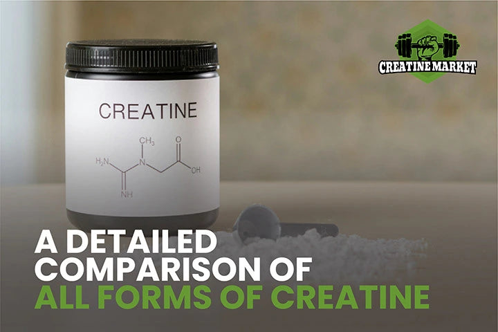 Creatine Form A Detailed Comparison of All Forms of Creatine