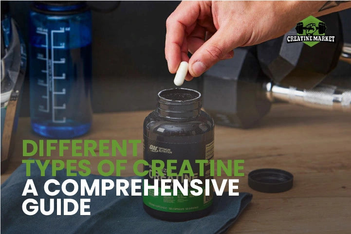 Different Types of Creatine Explored in Detail